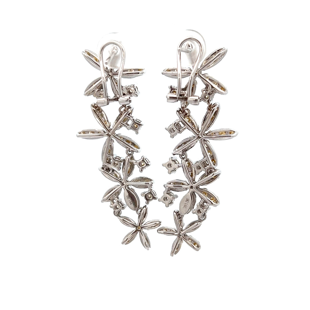 Daisy Star Slants