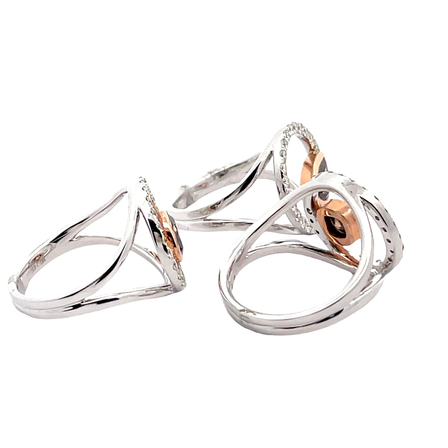 Circle of Life Planetary Rings