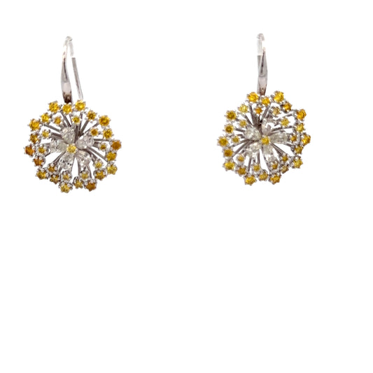 Starburst Snow Stars