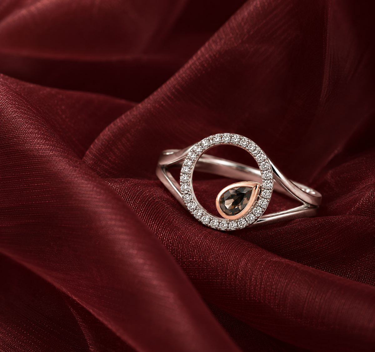 Circle of Life Planetary Rings