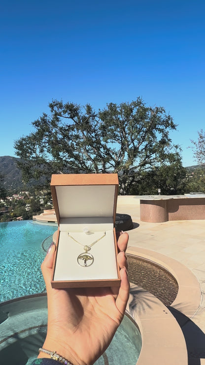 The Beginning of Eve