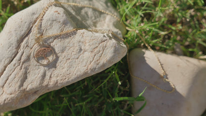 The Beginning of Eve